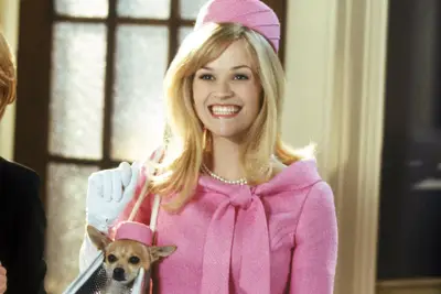 Legal Blonde 3 está no país de Reese, eles dizem que os escritores legalmente loiros