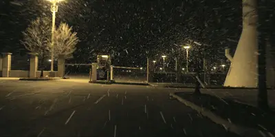 REACHER 203 REVERSE IT