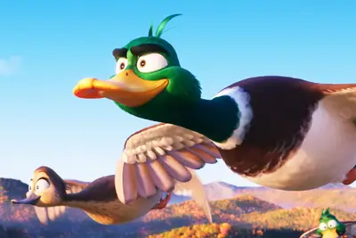 Transferir ou soltar: Migração de pavões, uma comédia de estradas de controle completamente finas