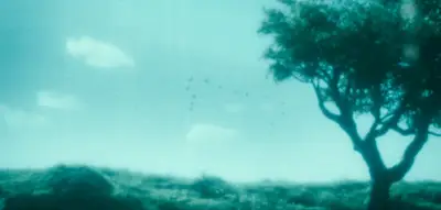 SILO EPISODE 9 FINAL SHOT OF THE BIRDS FLYING ON THE MONITOR