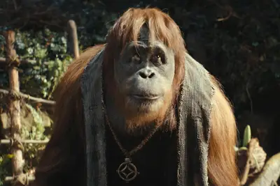 O reinado do planeta do macaco chega numericamente, mas quando o filme 2024 Planeta será transferido?