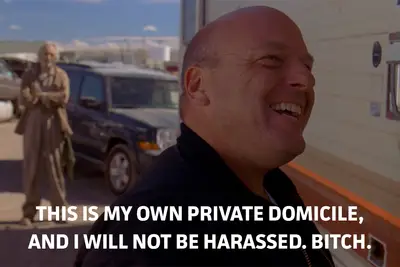 breaking-bad-bitch-5